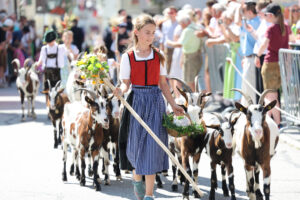 experience the magic of the hohe tauern festival 2025! enjoy stunning alpine scenery, world-class music, arts, and local traditions in the heart of austria's breathtaking national park. don't miss this unforgettable cultural event!