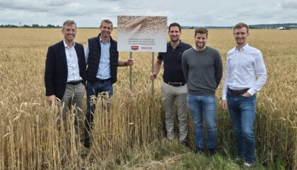 der weihnachtsmarkt dolomythos öffnet seine türen und lädt sie ein, festliche stimmung, traditionelle handwerkskunst und kulinarische spezialitäten inmitten der atemberaubenden dolomiten zu erleben.